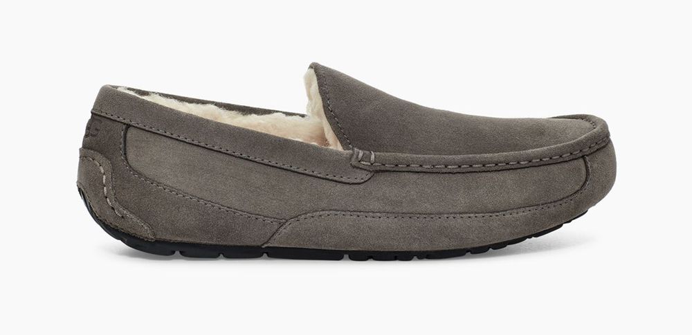 Ugg Ascot - Mens Slippers - Grey - NZ (8154VRHIY)